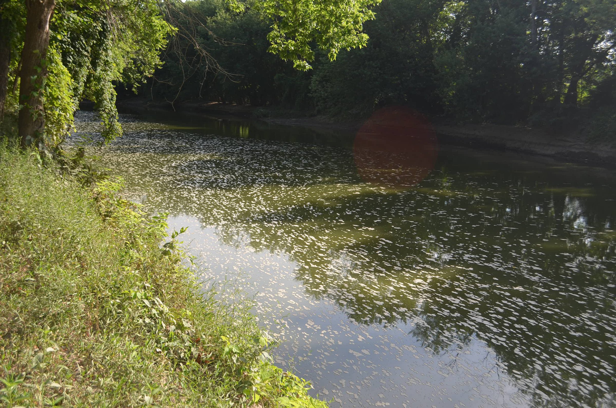 Property photo 27 - REAL ESTATE AUCTION - 26+/- ACRES IN 3 TRACTS IN SOUTHWEST ALLEN COUNTY, INDIANA
